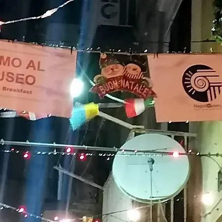 Museo