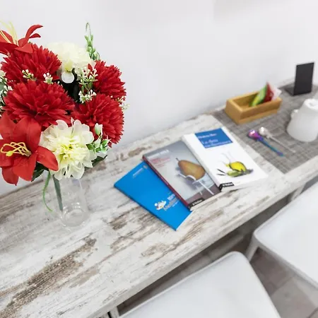 Bed & Breakfast Museo 4*